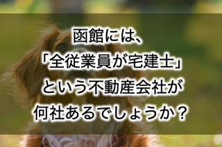 函館には「全従業員が宅建士」という不動産会社が何社あるでしょうか？