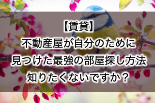 【賃貸】不動産屋が自分のために見つけた最強の部屋探し方法、知りたくないですか？