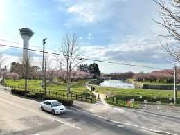 【函館テナント】五稜郭公園ビューの希少オフィス｜道外企業の拠点づくりに最適