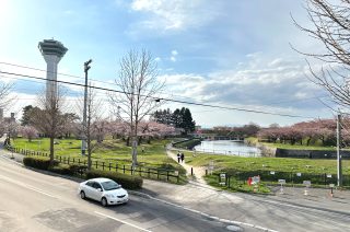 【函館テナント】五稜郭公園ビューの希少オフィス｜道外企業の拠点づくりに最適