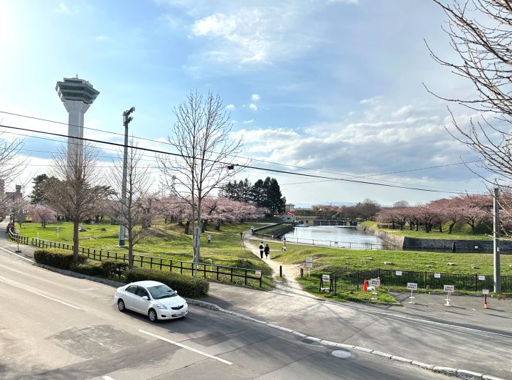 【函館テナント】五稜郭公園ビューの希少オフィス｜道外企業の拠点づくりに最適