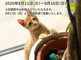 夏季休業のお知らせ