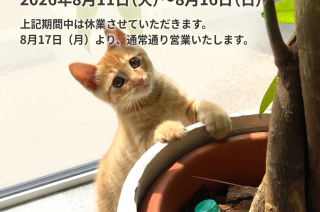 夏季休業のお知らせ