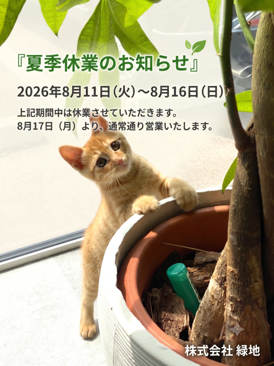 夏季休業のお知らせ