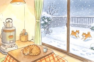 雪の季節がやってきた！