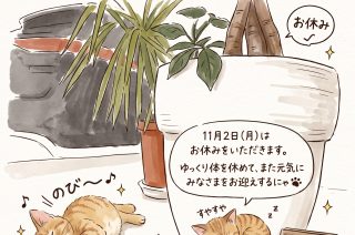 定休日のお知らせ